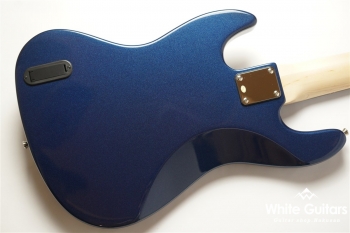 WJB5-580/R-Act - DLPB